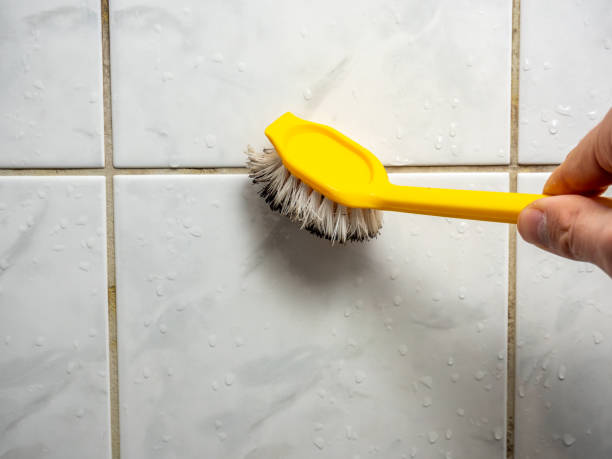 Best Fast Mold Removal  in Brook Highland, AL